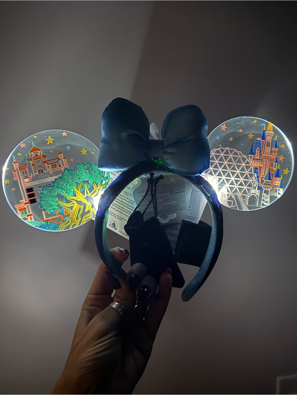Disney 4 Park Icon Light Up Ears